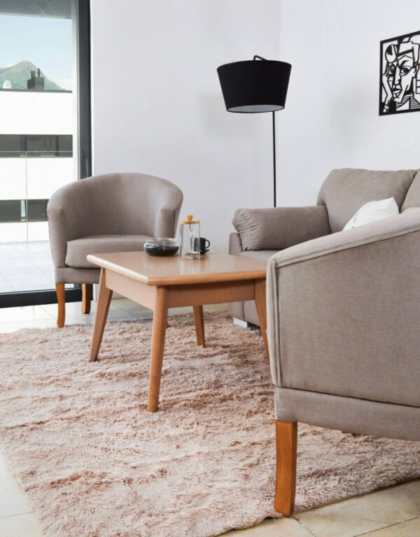 Cozy soundproofed apartment living room with rugs