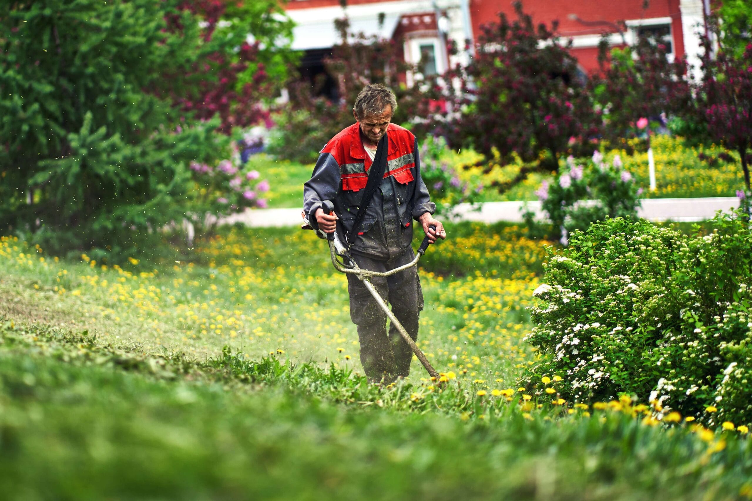 Person mowing a green lawn with a quiet battery-powered mower
