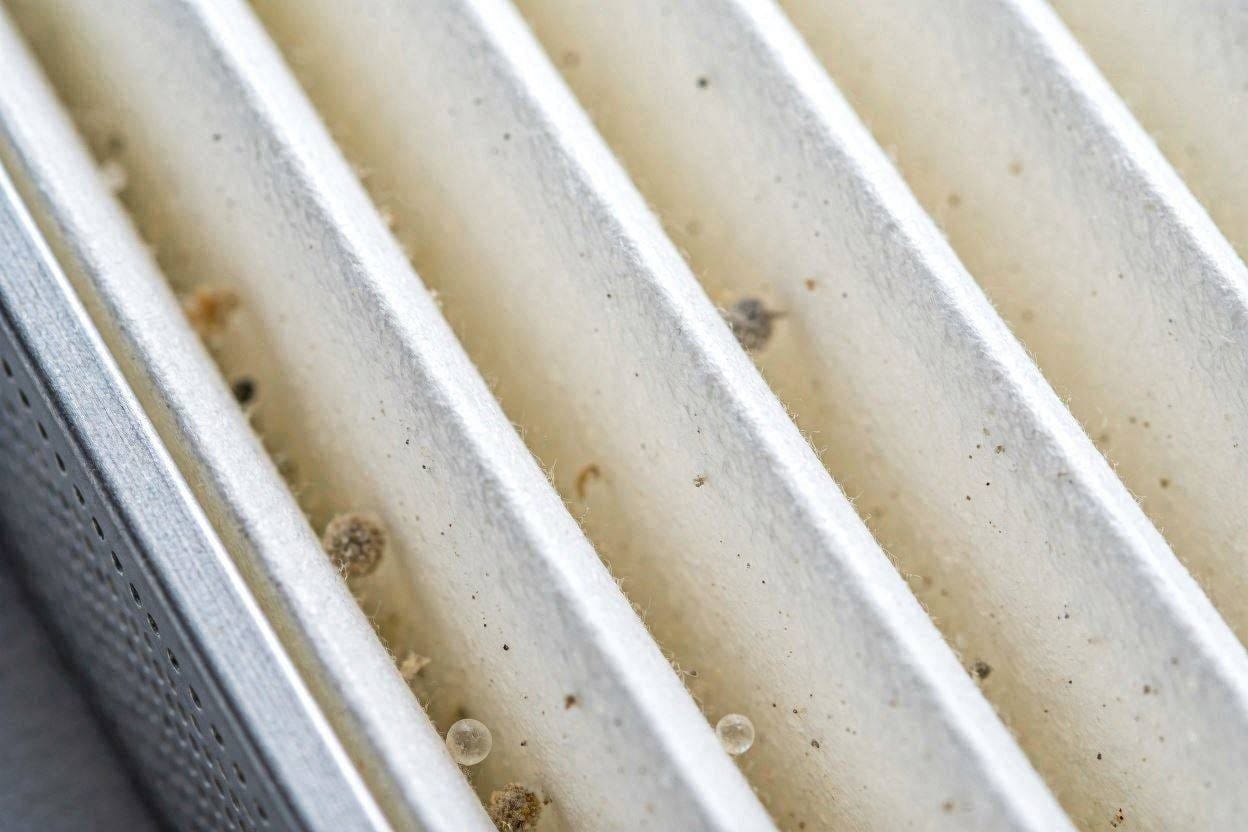 A macro shot showing the dense pleated paper of a True HEPA air purifier filter