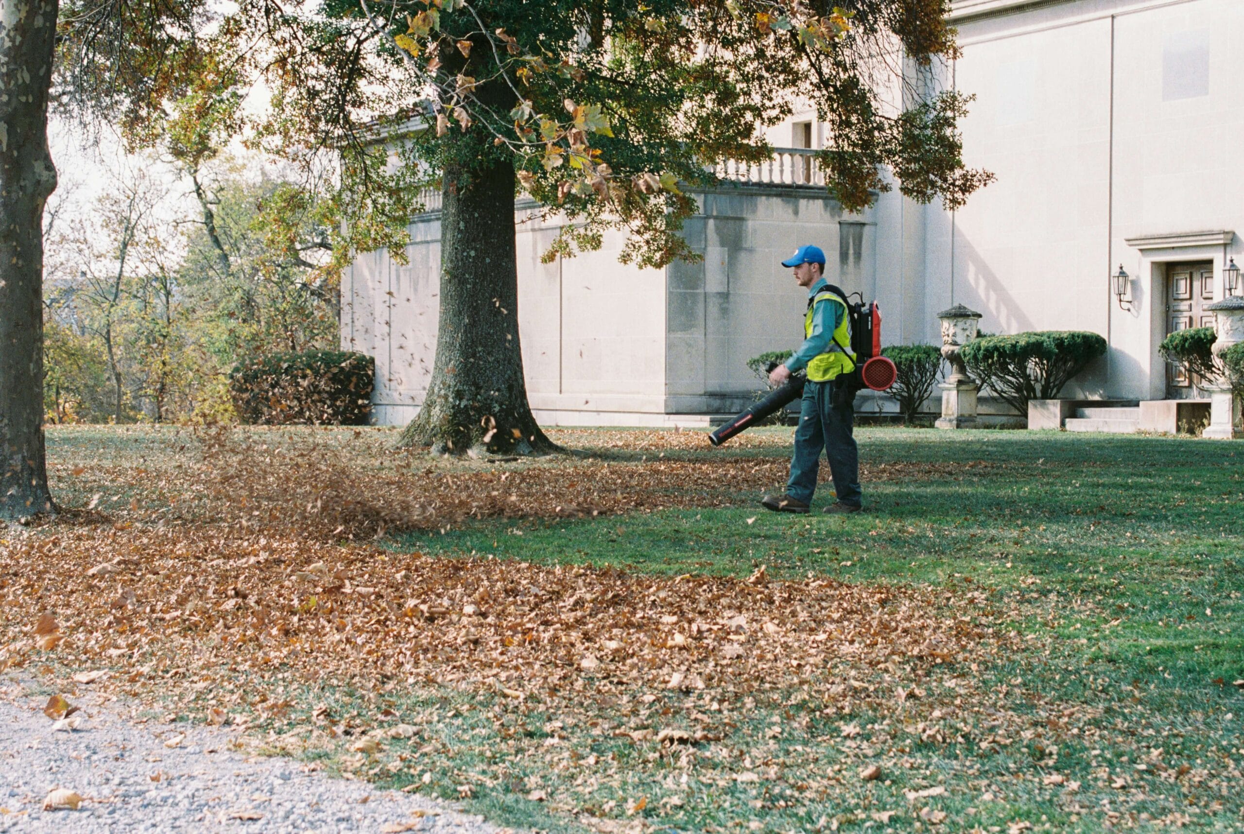 Best Quiet Leaf Blowers